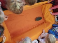 Záchranná stanice "Pasíčka" - Ježeček