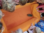 Záchranná stanice "Pasíčka" - Ježeček