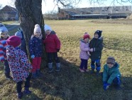 Vidím, slyším, cítím