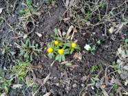 Vidím, slyším, cítím