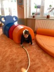"Když jsem já sloužil" aneb Zvířátka a jejich mláďátka