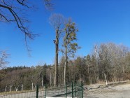 Výlet do Mladočova se skřítkem Lupínkem