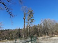 Výlet do Mladočova se skřítkem Lupínkem