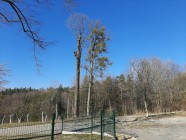 Výlet do Mladočova se skřítkem Lupínkem