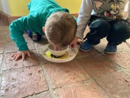 Výlet do Ekocentra v Oucmanicích