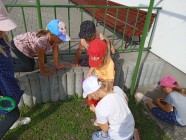 Školkové dovádění