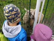 Moje oblíbená hračka