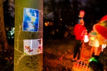 Lampionky kam se podíváš...