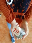 Vzdělávací program od firmy Vertex