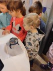 Návštěva regionálního muzea v Litomyšli
