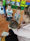 Záchranná stanice Pasíčka v MŠ- Ježeček