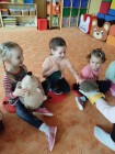 Záchranná stanice Pasíčka v MŠ- Ježeček