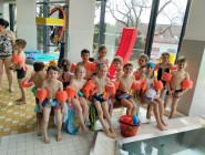 Plavecký výcvik Koťátek