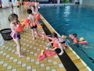 Plavecký výcvik Koťátek