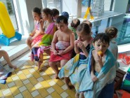 Plavecký výcvik Koťátek