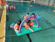 Plavecký výcvik Koťátek