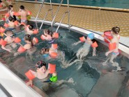 Plavecký výcvik Koťátek