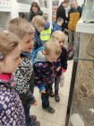 Koťátka - Exkurze na terarijní zvířata Střední školy zahradnické a technické v Litomyšli
