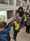 Koťátka - Exkurze na terarijní zvířata Střední školy zahradnické a technické v Litomyšli