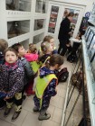 Koťátka - Exkurze na terarijní zvířata Střední školy zahradnické a technické v Litomyšli