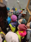 Koťátka - Exkurze na terarijní zvířata Střední školy zahradnické a technické v Litomyšli