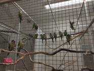 Koťátka - Exkurze na terarijní zvířata Střední školy zahradnické a technické v Litomyšli