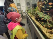 Koťátka - Exkurze na terarijní zvířata Střední školy zahradnické a technické v Litomyšli