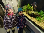 Koťátka - Exkurze na terarijní zvířata Střední školy zahradnické a technické v Litomyšli