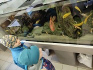 Koťátka - Exkurze na terarijní zvířata Střední školy zahradnické a technické v Litomyšli