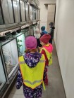 Koťátka - Exkurze na terarijní zvířata Střední školy zahradnické a technické v Litomyšli