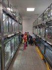 Koťátka - Exkurze na terarijní zvířata Střední školy zahradnické a technické v Litomyšli