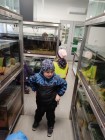 Koťátka - Exkurze na terarijní zvířata Střední školy zahradnické a technické v Litomyšli
