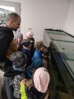 Koťátka - Exkurze na terarijní zvířata Střední školy zahradnické a technické v Litomyšli