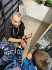 Koťátka - Exkurze na terarijní zvířata Střední školy zahradnické a technické v Litomyšli