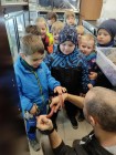Koťátka - Exkurze na terarijní zvířata Střední školy zahradnické a technické v Litomyšli