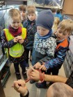 Koťátka - Exkurze na terarijní zvířata Střední školy zahradnické a technické v Litomyšli