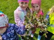 Povídám, povídám pohádku