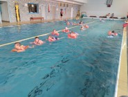 Plavecká lekce Koťátek