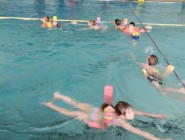 Plavecká lekce Koťátek