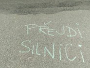 Šipkovaná