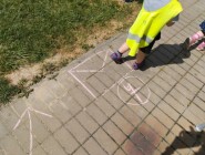 Šipkovaná