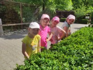 Školní výlet - Pasíčka