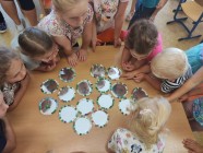 Vertex - program pro mateřské školy