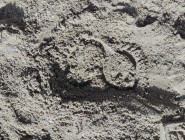 Vyletěl si pyšný drak