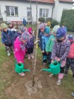 Den stromů ve školce