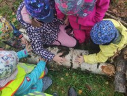 Den stromů ve školce