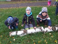 Den stromů ve školce