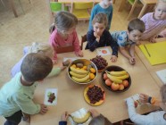 Ovocný salát a sušení jablek u Myšek