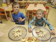 Ovocný salát a sušení jablek u Myšek