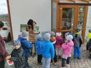 Starý medvěd vzdychá